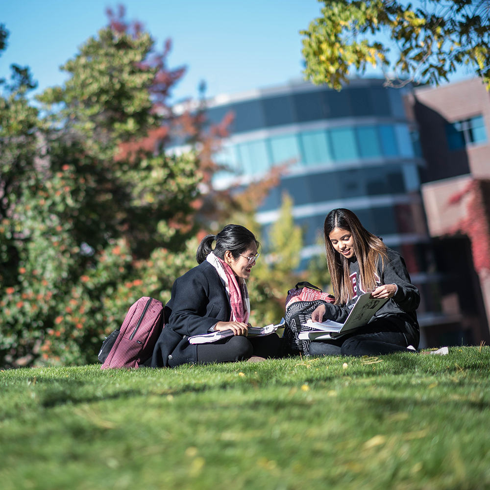 University students studying outdoors