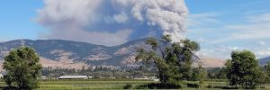 Expert Q&A: Wildfire season in the Okanagan Valley